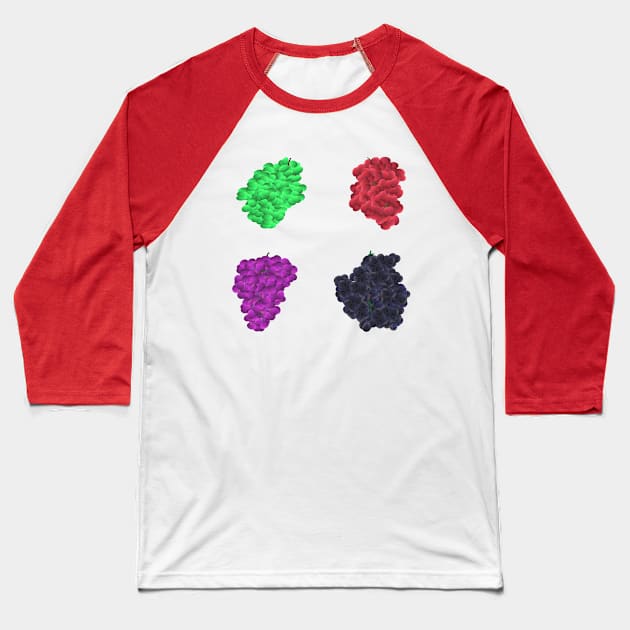 Colorful Grapes (White) Baseball T-Shirt by Art By LM Designs 